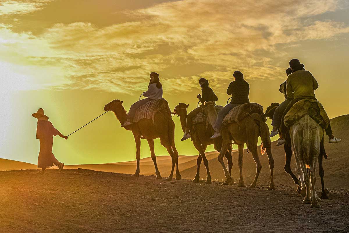 Agafay Desert Dinner Show and Camel Ride & Sunset