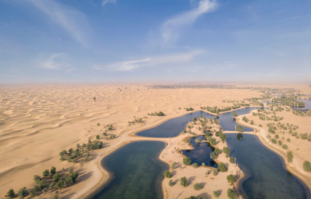Al Qudra Desert Dunes