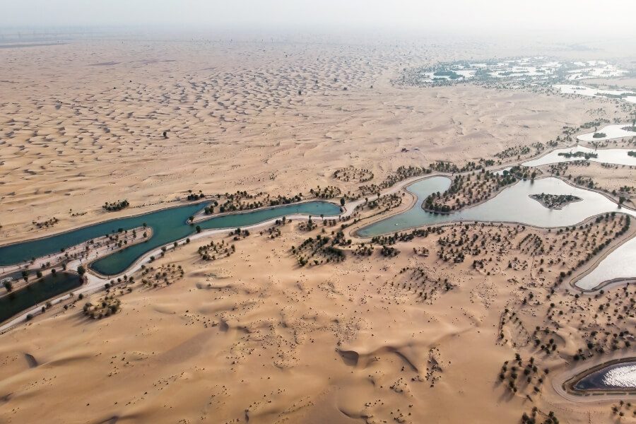 Al Marmoom Desert Conservation Reserve