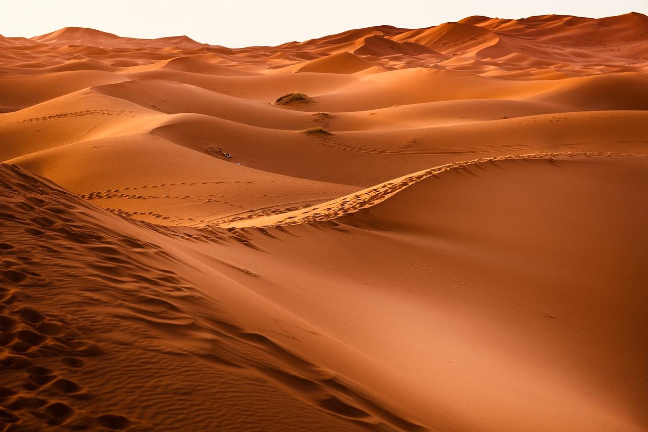 Pink Dunes Sector