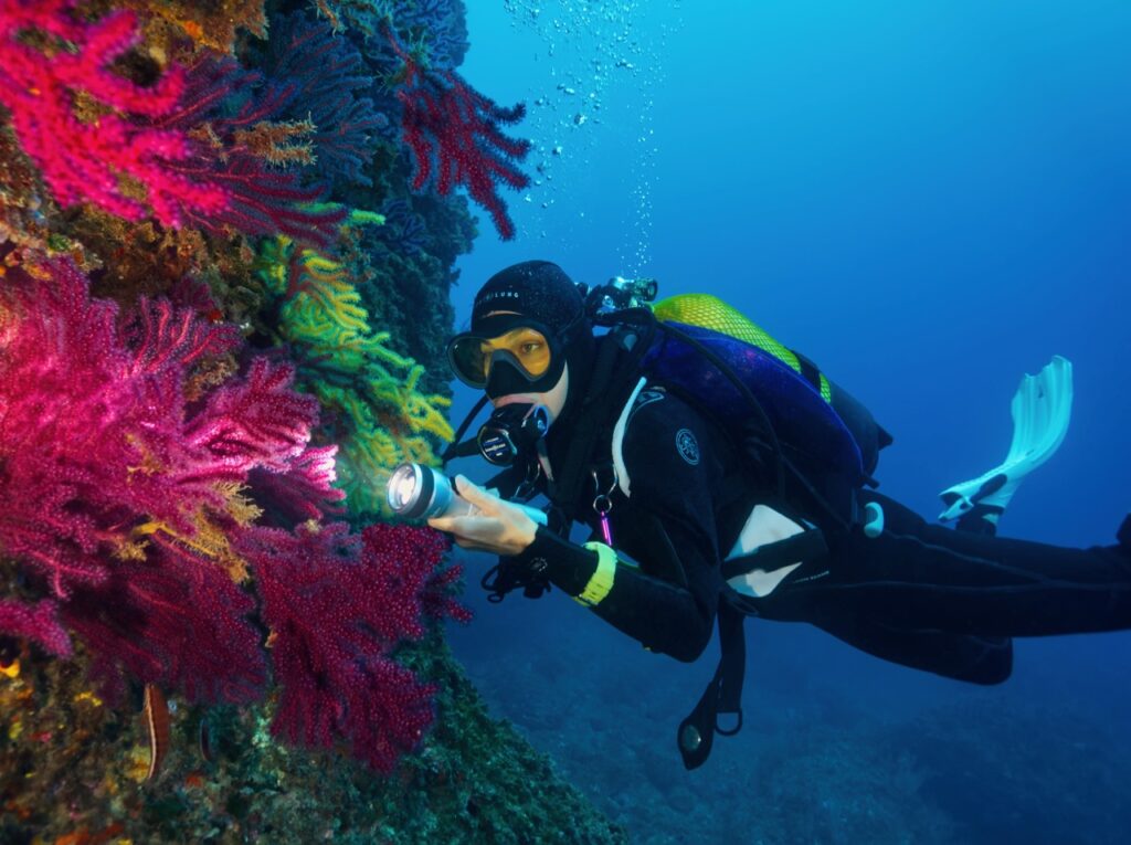 Underwater Rock Formations
