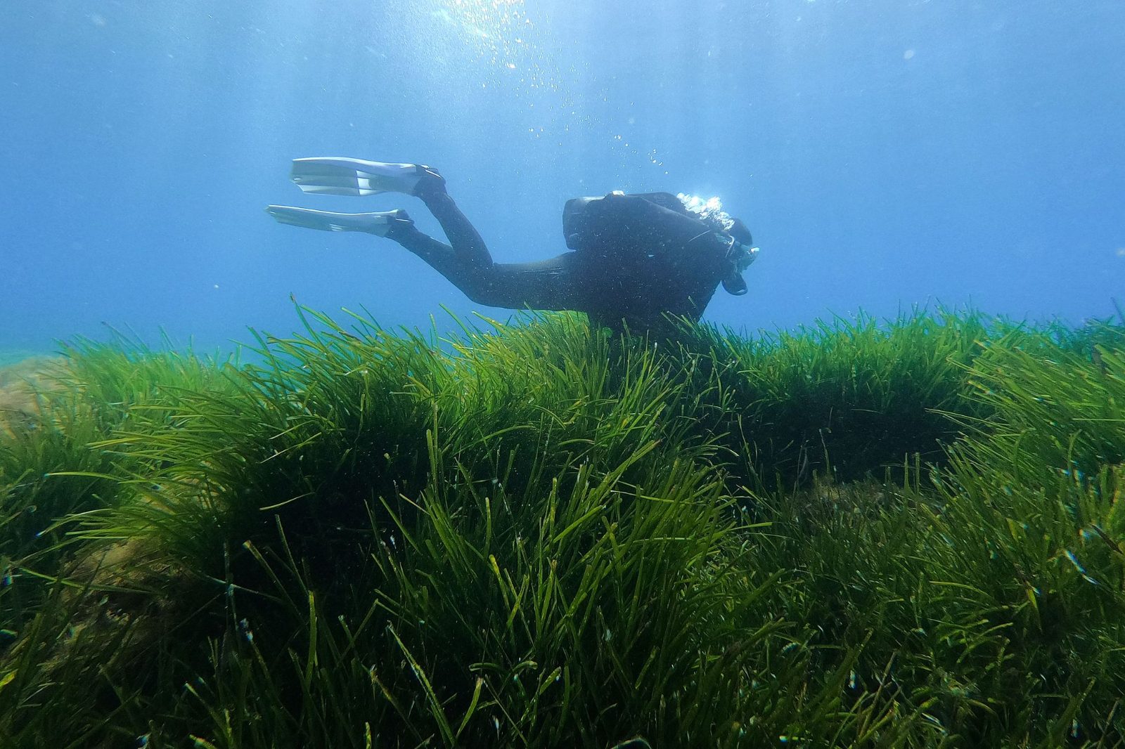 Discover Scuba Diving Costa Brava