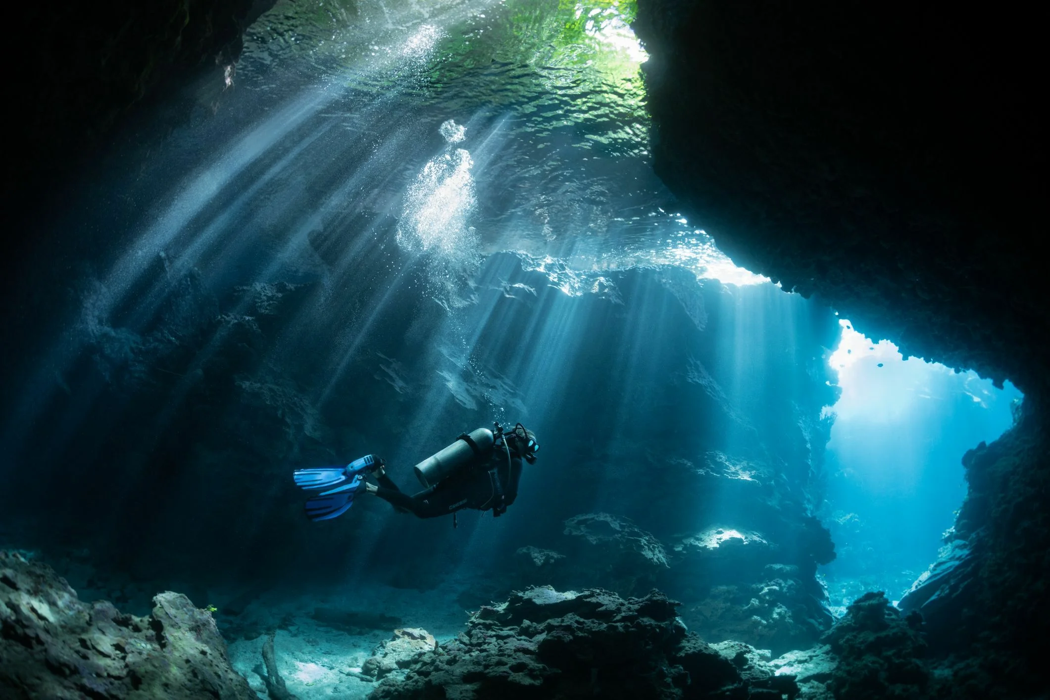 Illes Medes Marine Reserve