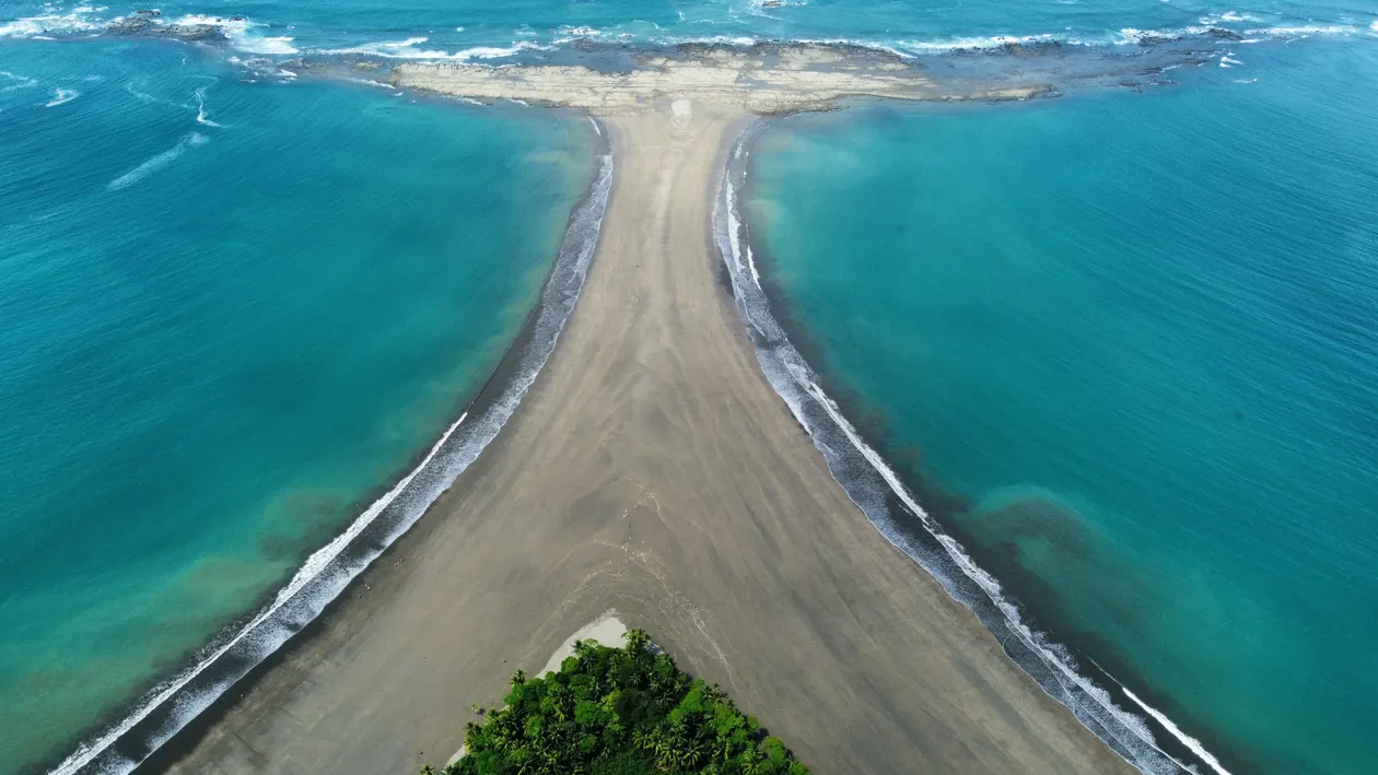 Whale Tail Reef
