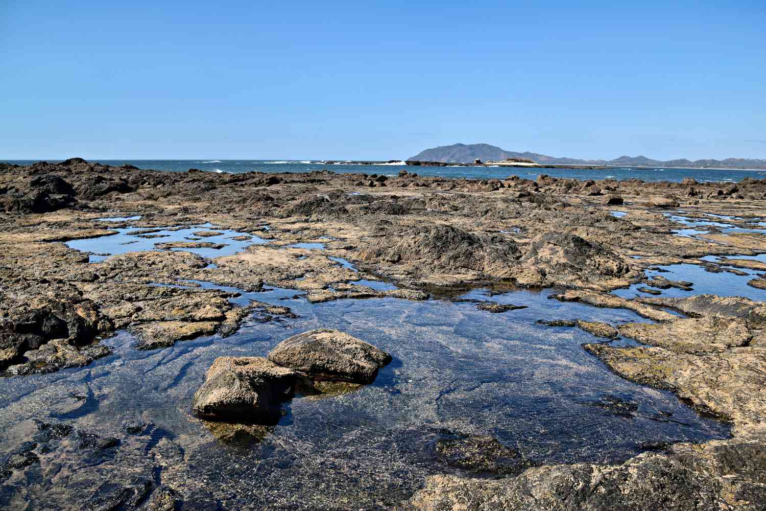 Langosta Beach Reef Edge