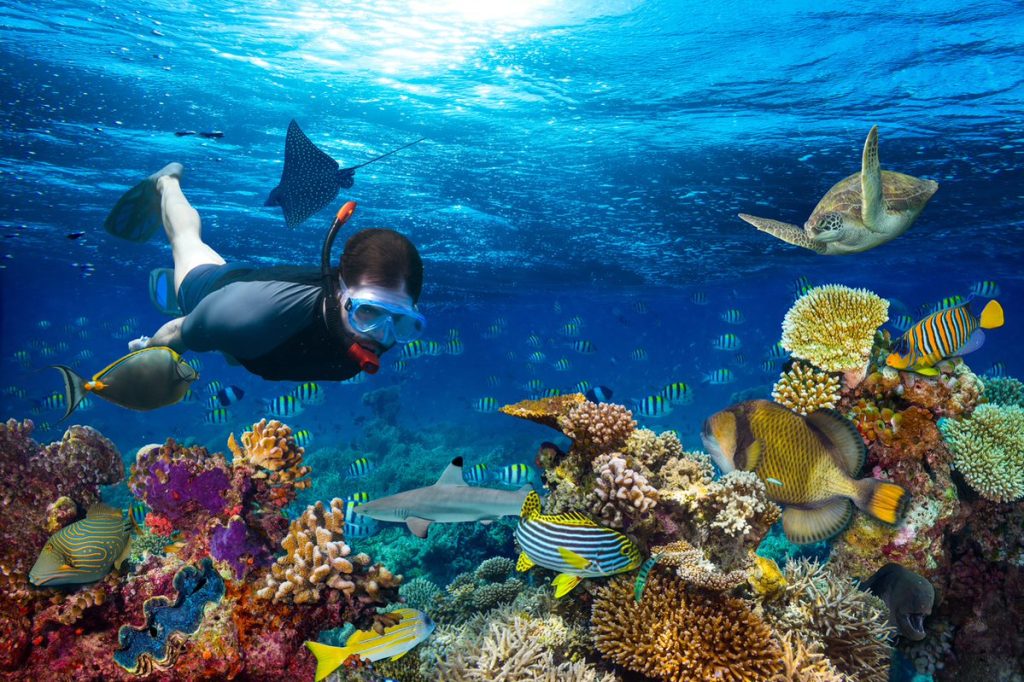 Langosta Reef