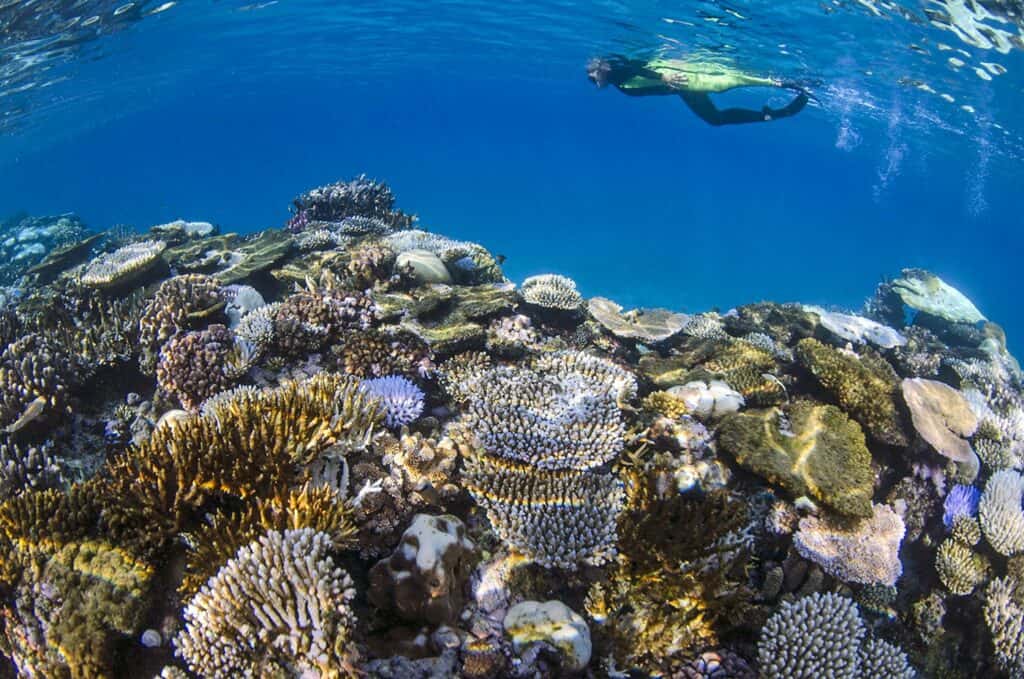 Snorkeling Costa Rica Cano Island