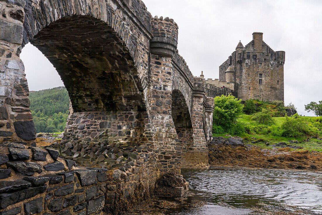 The Bridge Approach