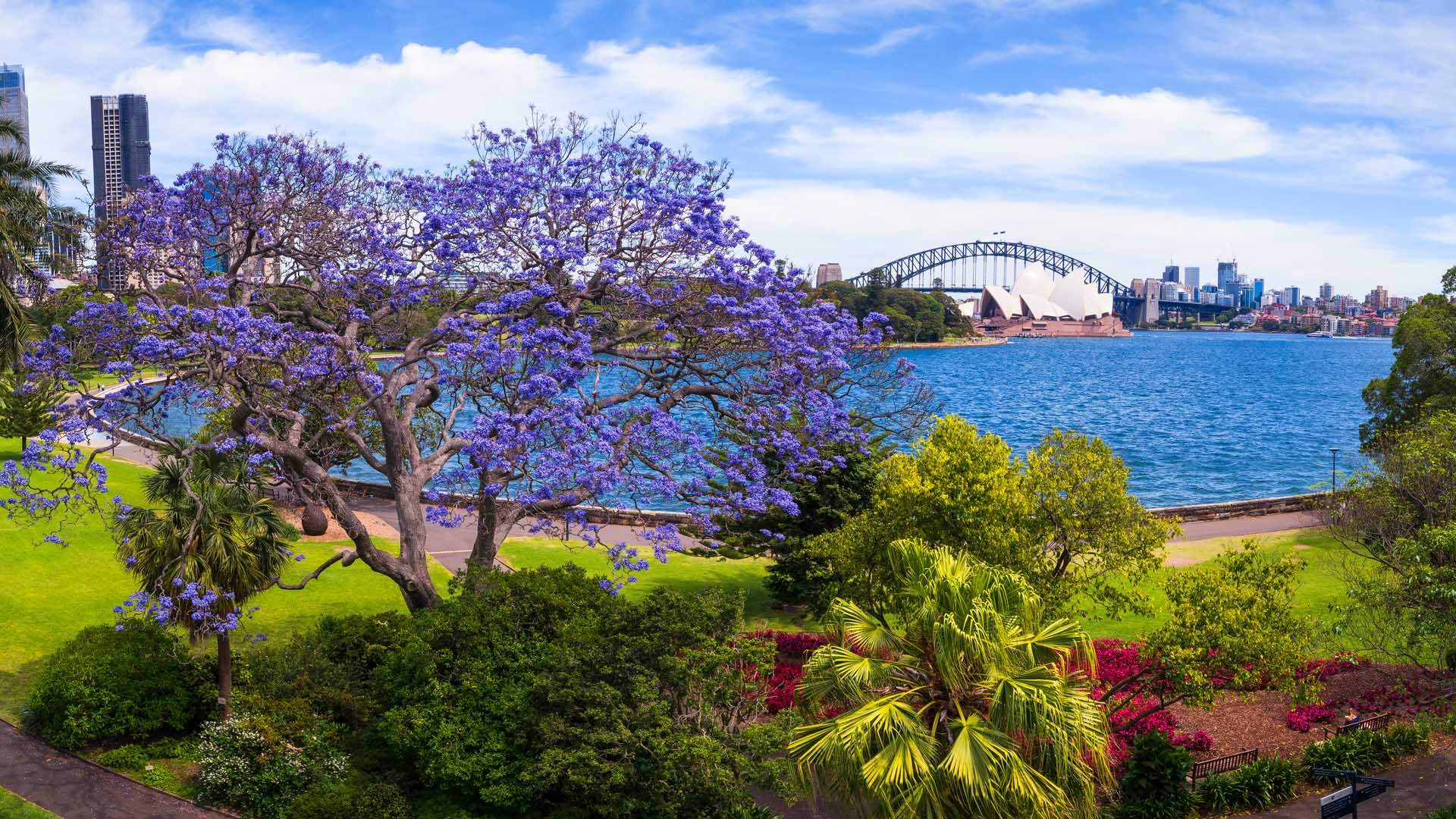 Royal Botanic Garden
