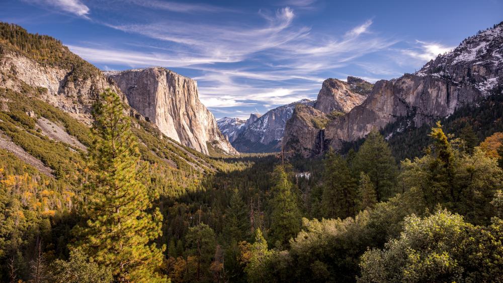 Yosemite Tour from San Francisco: Trip Overview