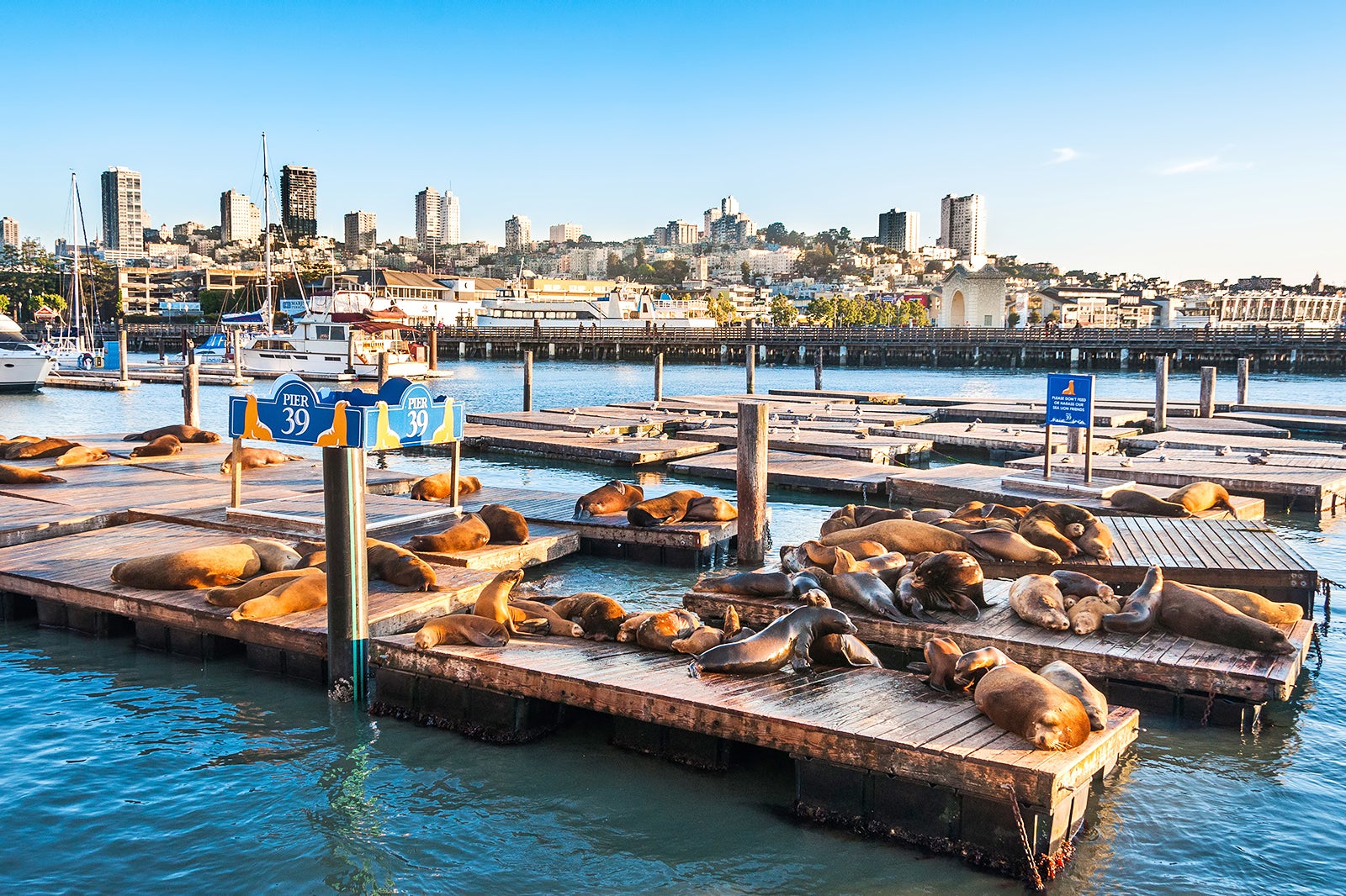 Fisherman's Wharf