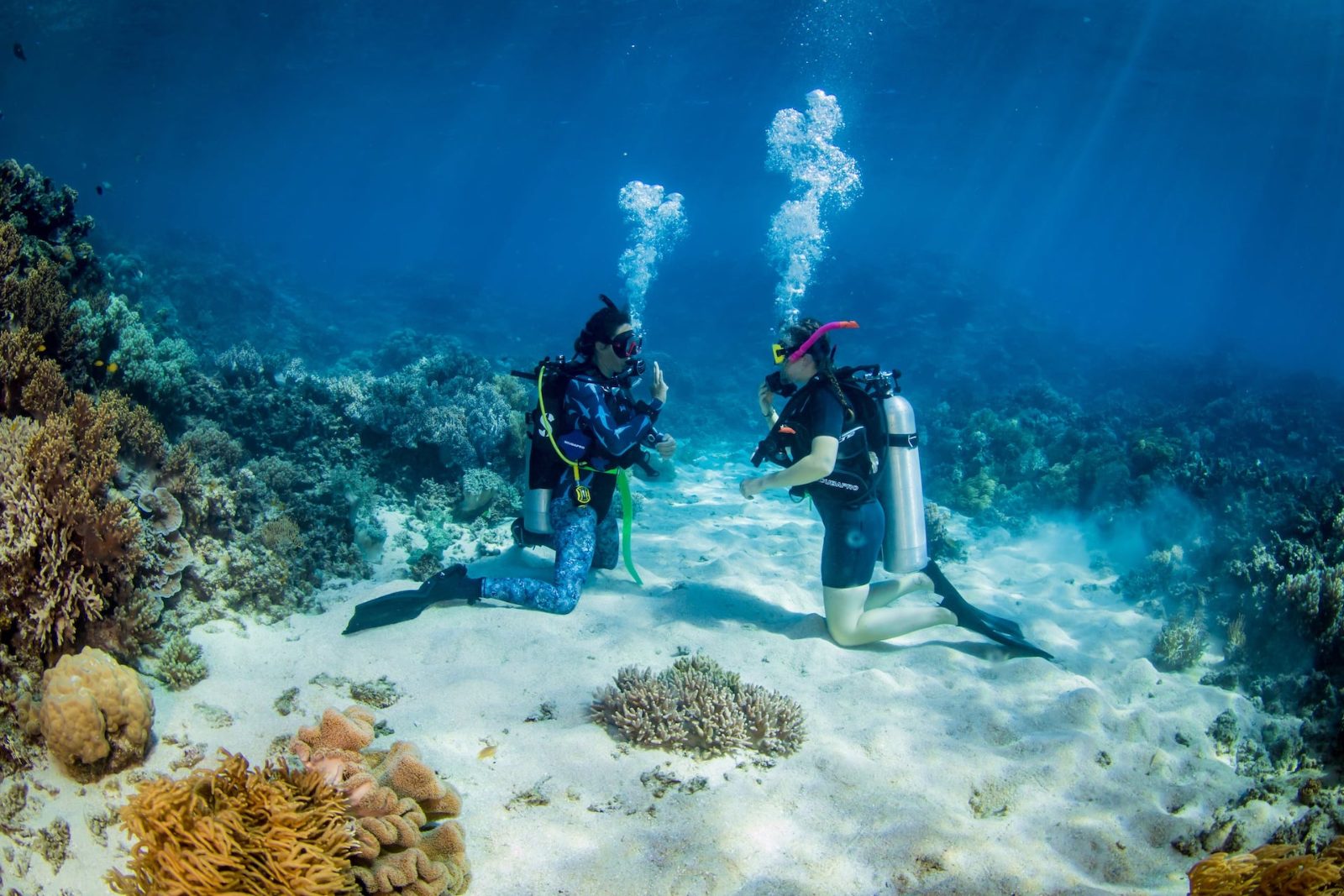 Bali Diving Course