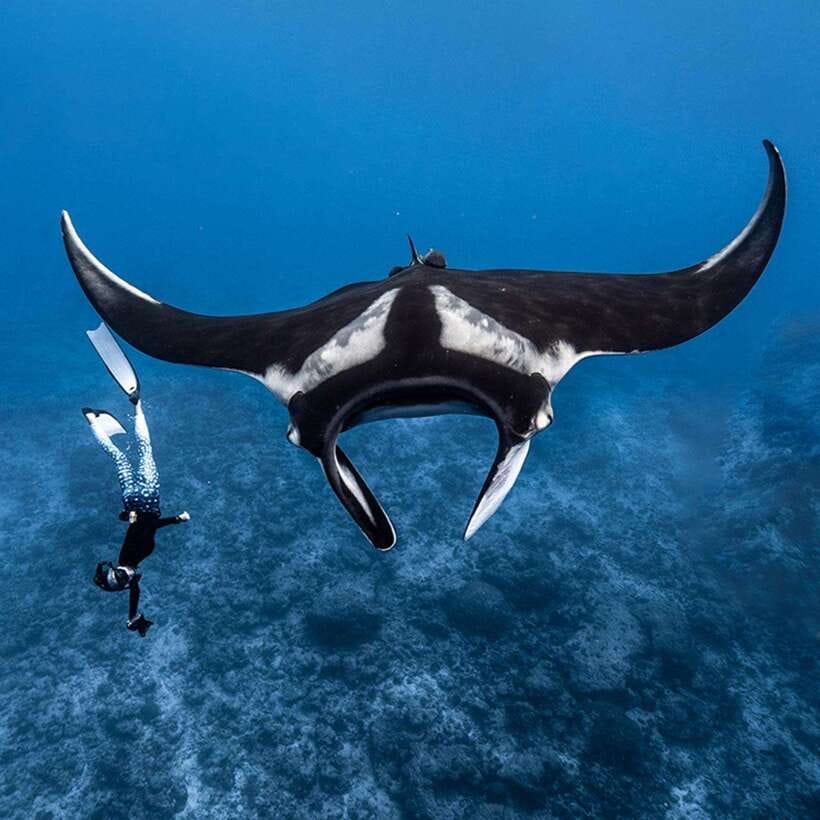 Nusa Penida