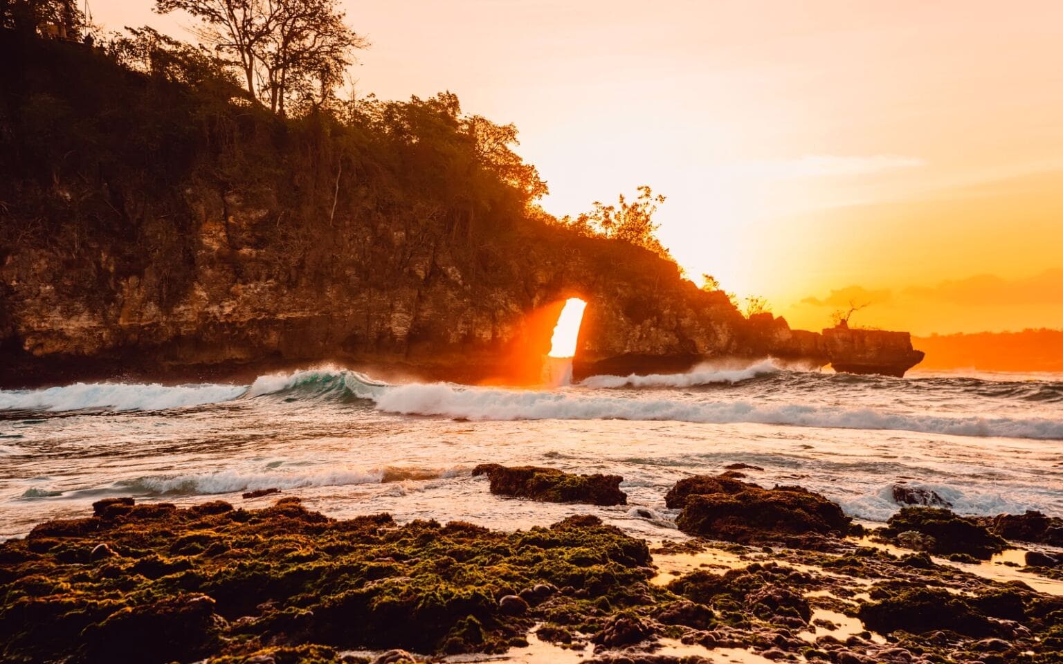 Crystal Bay Coral Arch