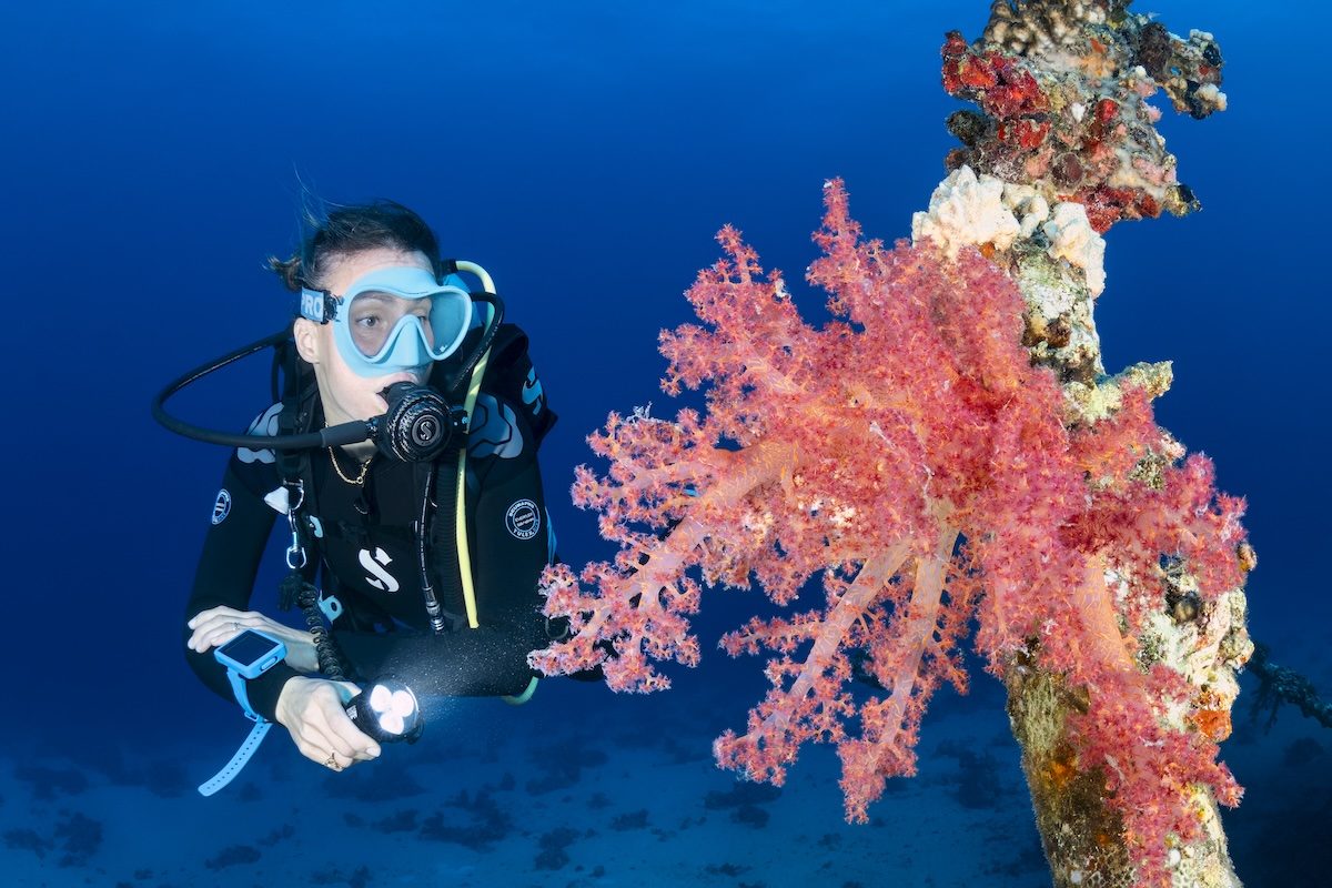 Yolanda Reef Drop-off