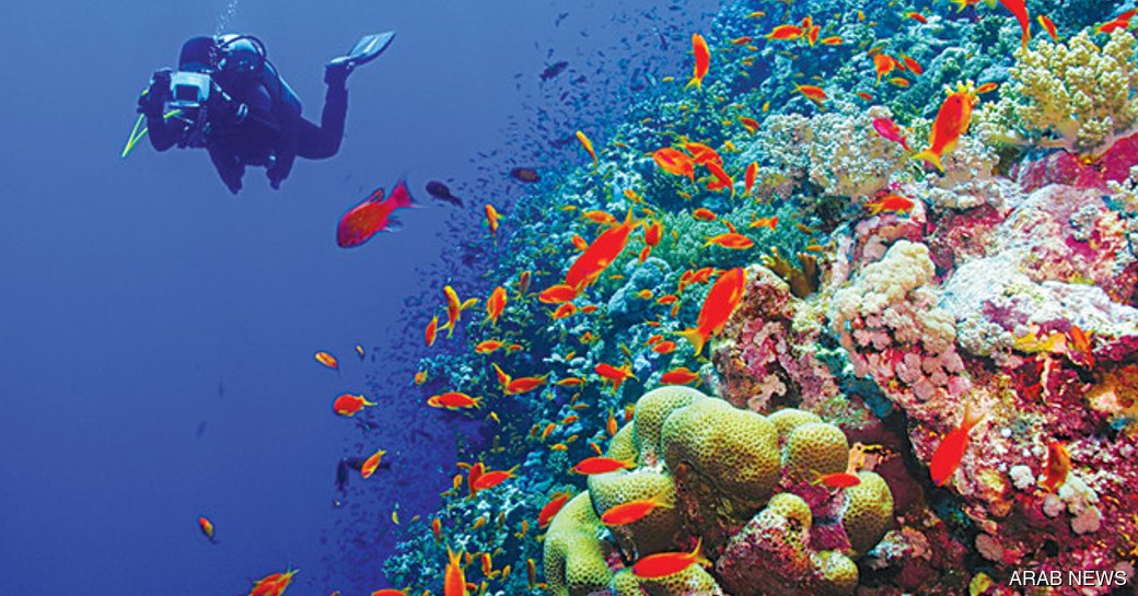 Abu Madafi Reef
