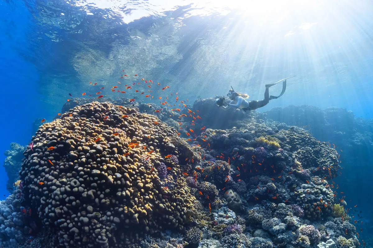 The Boiler