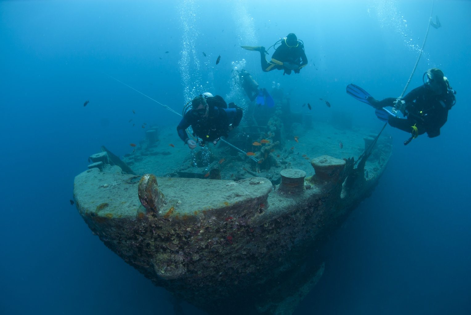 SS Thistlegorm Bow Section