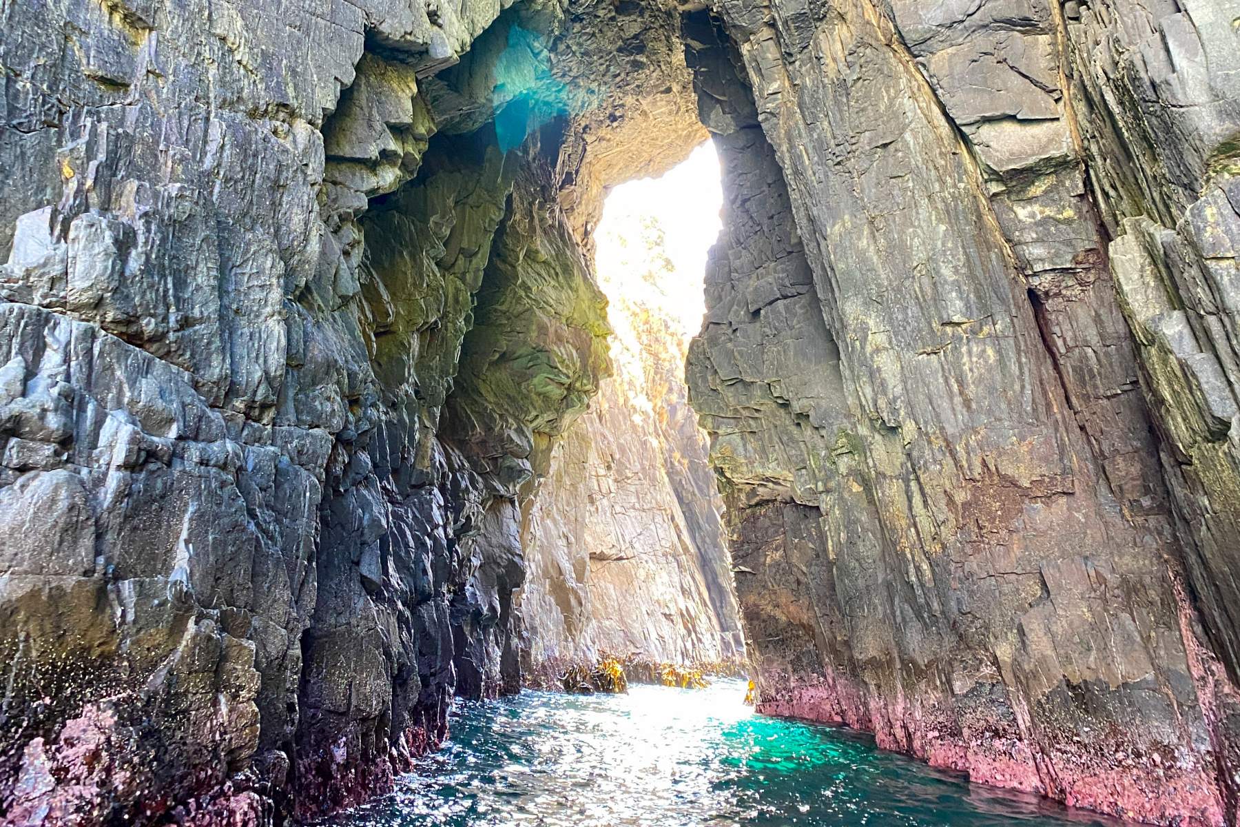 Bruny Island Boat Tours From Hobart