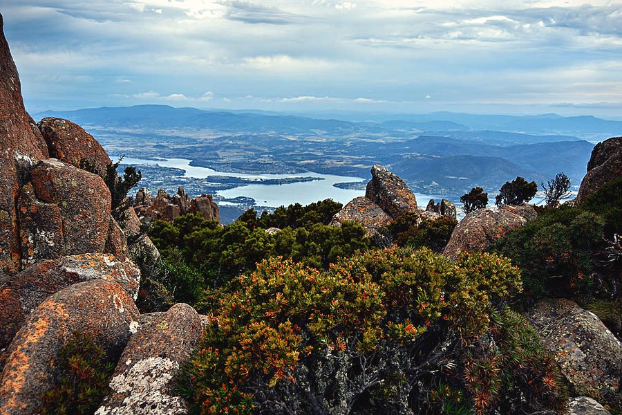 Mount Wellington Backdrop