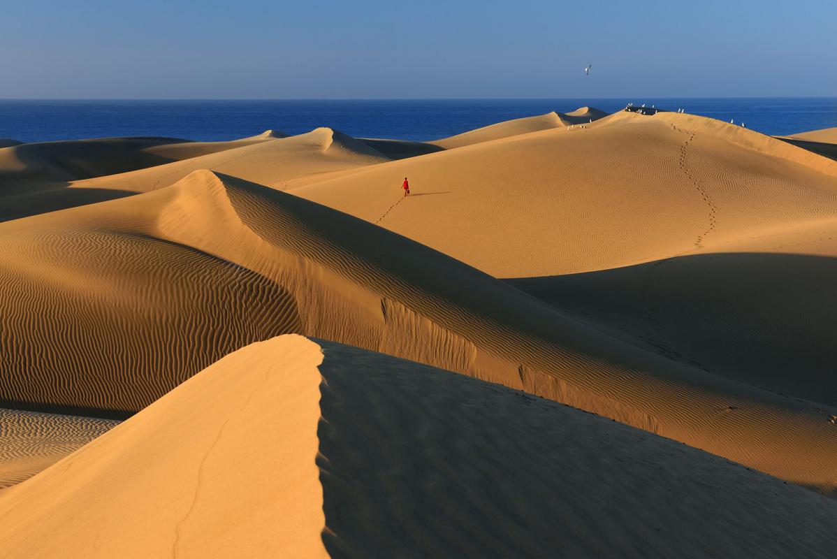 Maspalomas Dune Reserve
