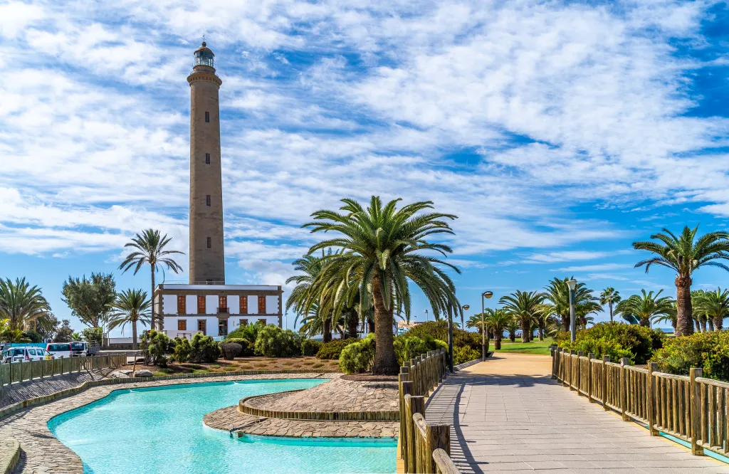 What to Know About a Camel Ride Maspalomas