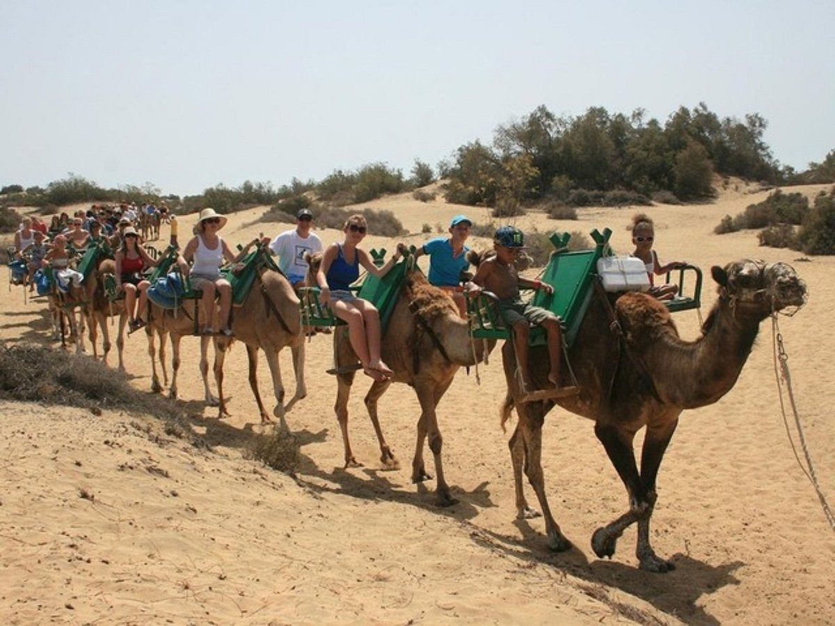 Camel Caravan Route