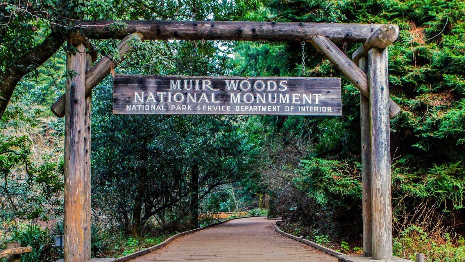 Muir Woods Arch