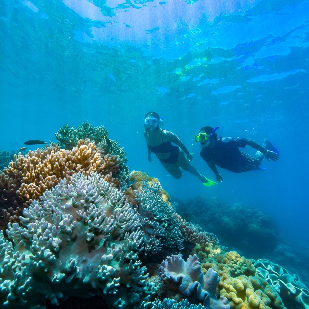 Whitsundays Boat Tours From Airlie Beach
