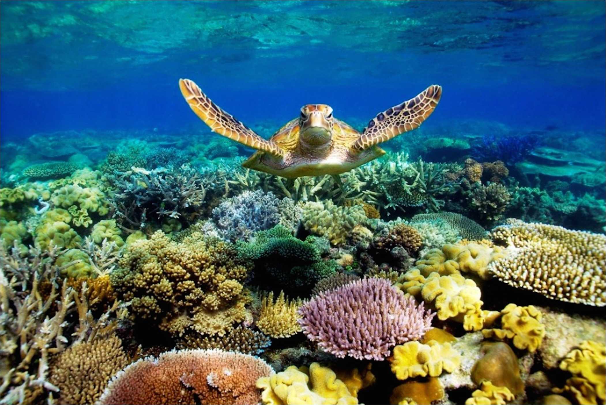 Great Barrier Reef