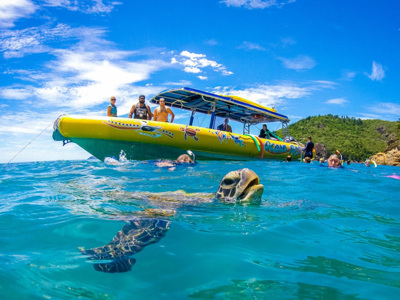 Airlie Beach Private Boat Tours