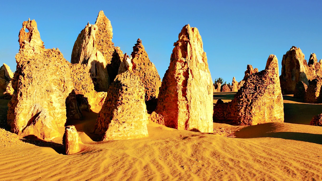 Pinnacles Desert Discovery