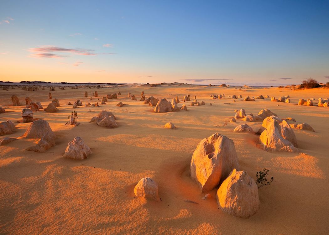 Nambung National Park Coast