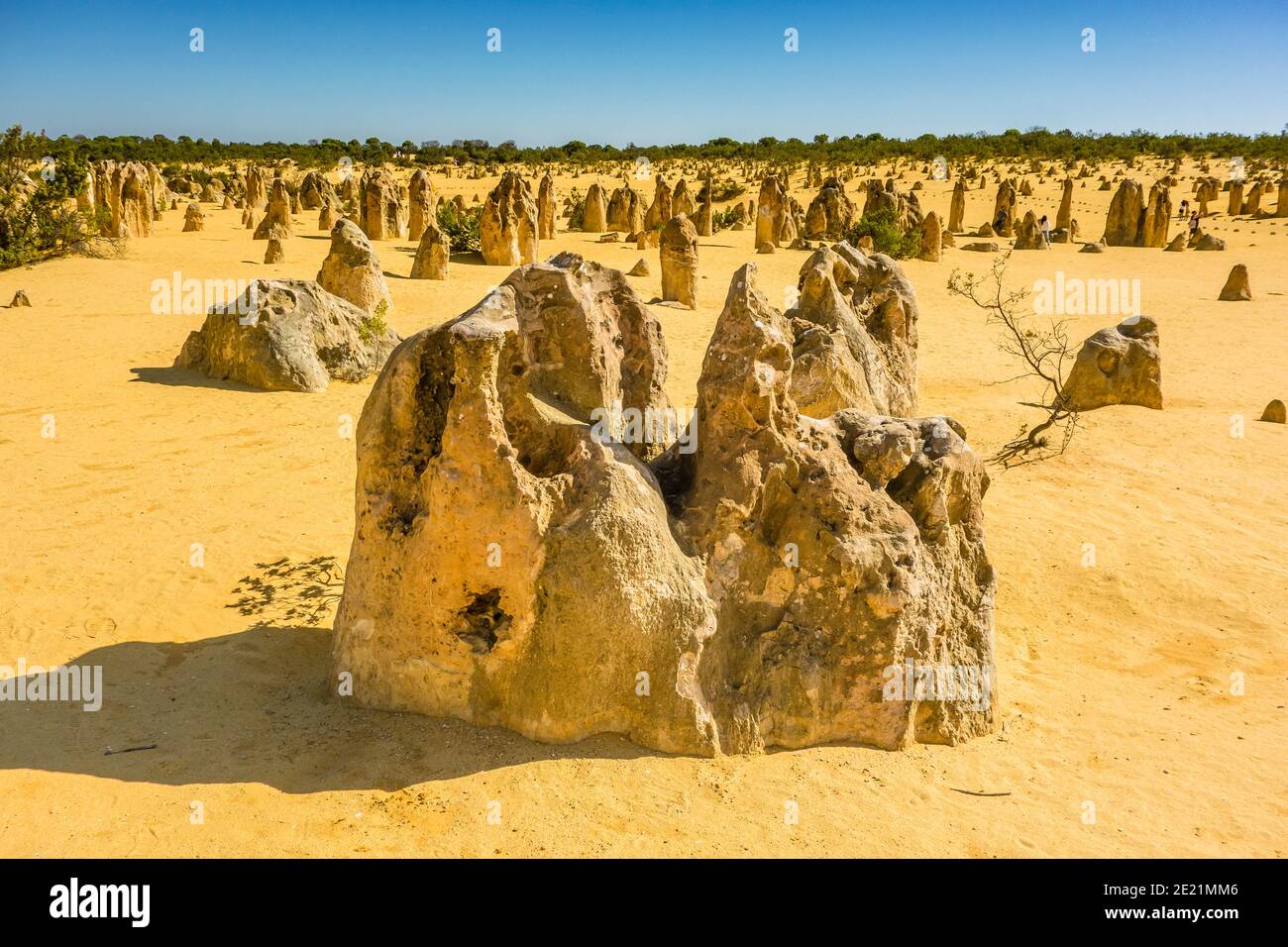 Limestone Pillars