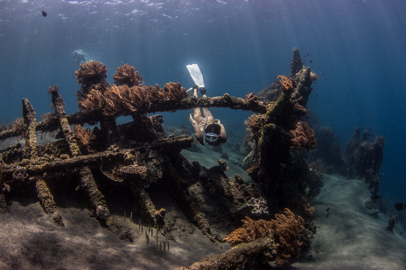 Japanese Shipwreck