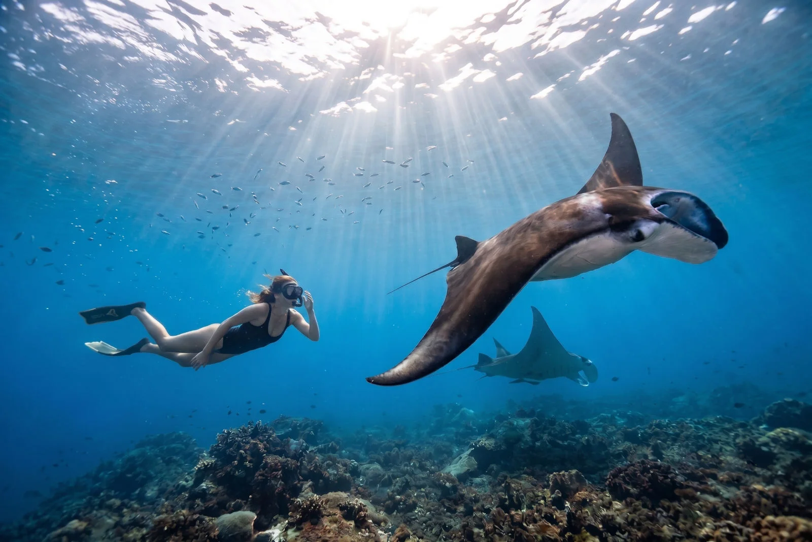 Snorkeling Bali Tour