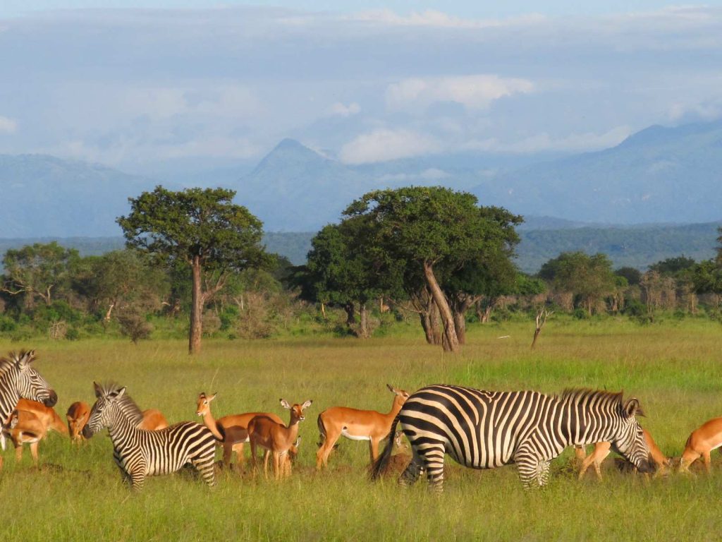 Malundwe Mountains
