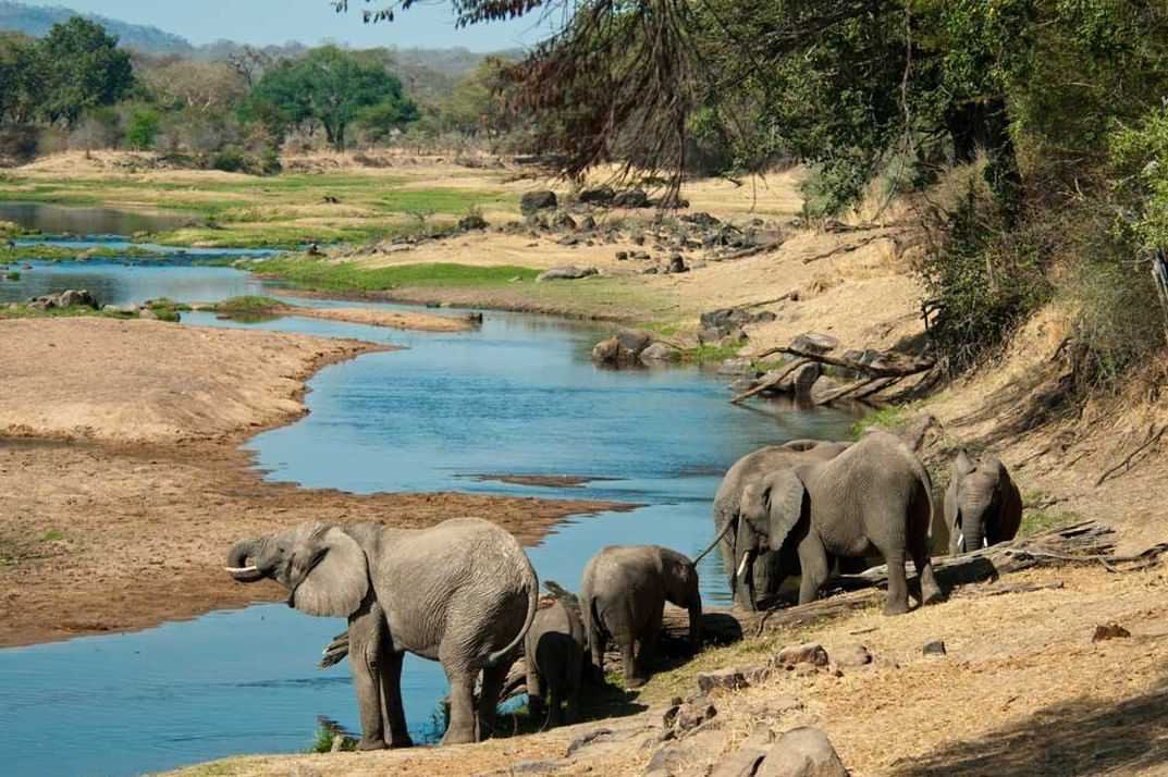 Mkata River