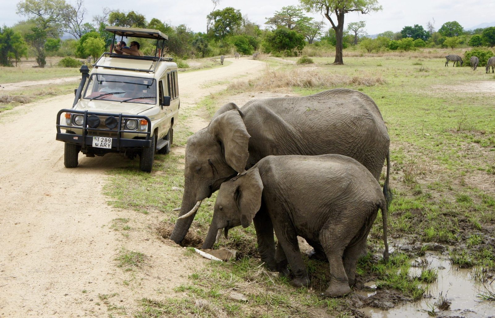 Mikumi Safari From Zanzibar