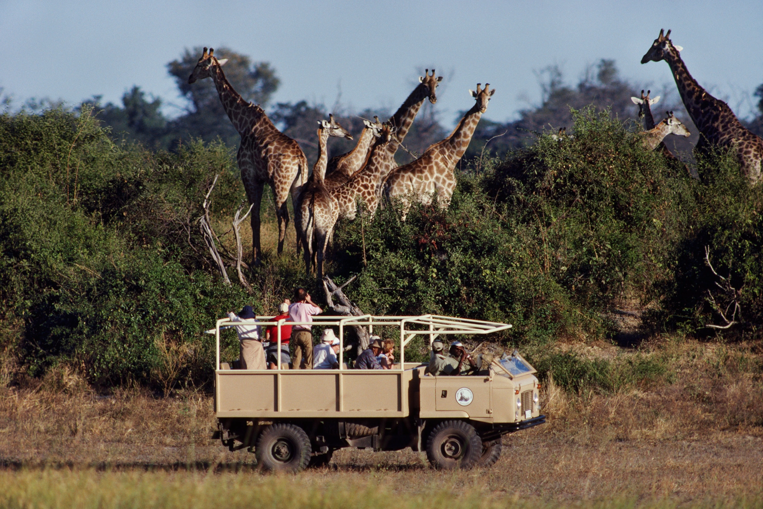 Your experience at Mikumi Safari From Zanzibar