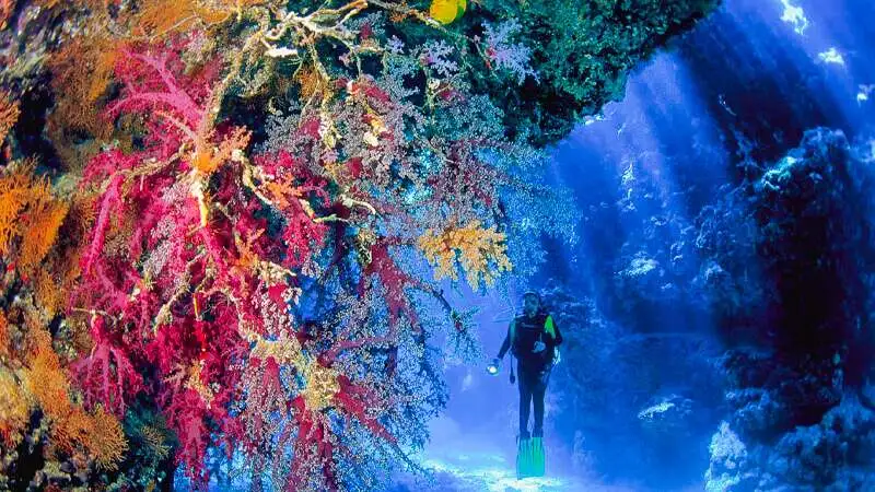 Private Scuba Diving Hurghada