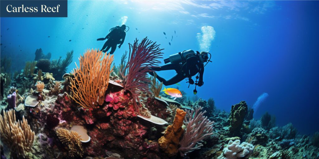 Carless Reef