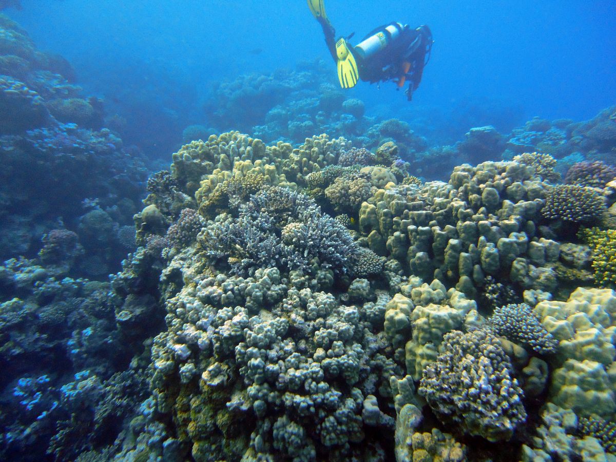 Abu Ramada Island