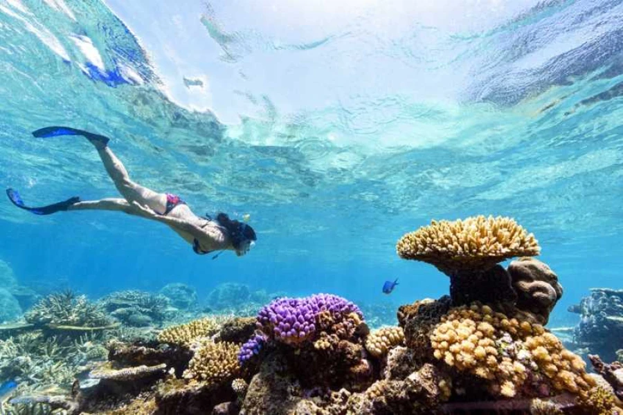 Giftun Island Shallow Reefs