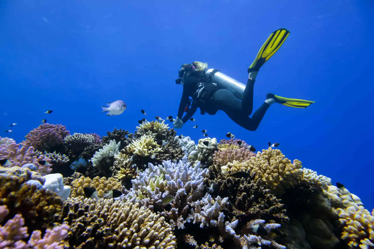 Diving for Beginners Hurghada