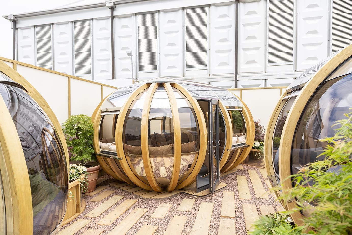 Pod Chelsea