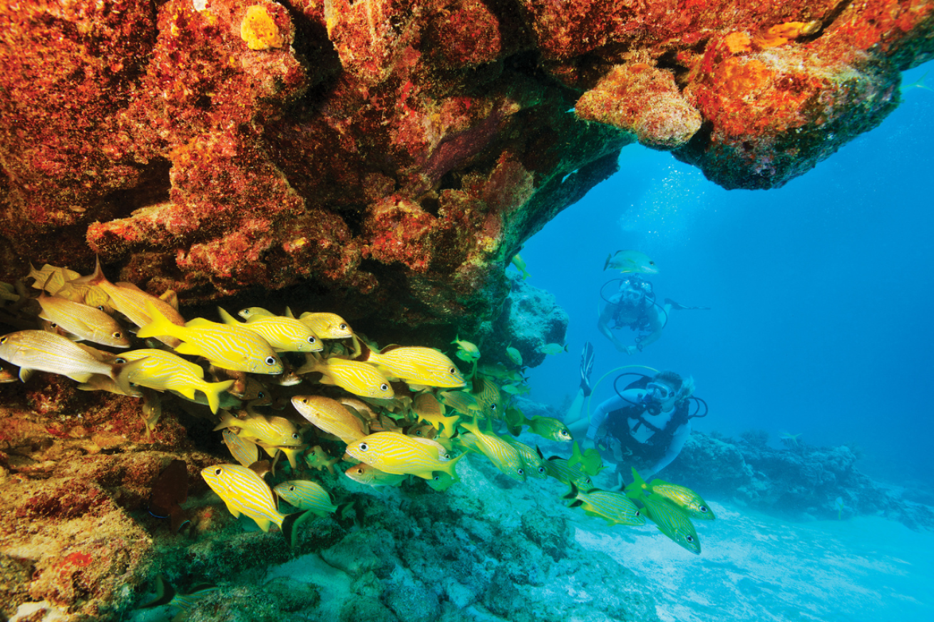 Marine Wildlife Zones