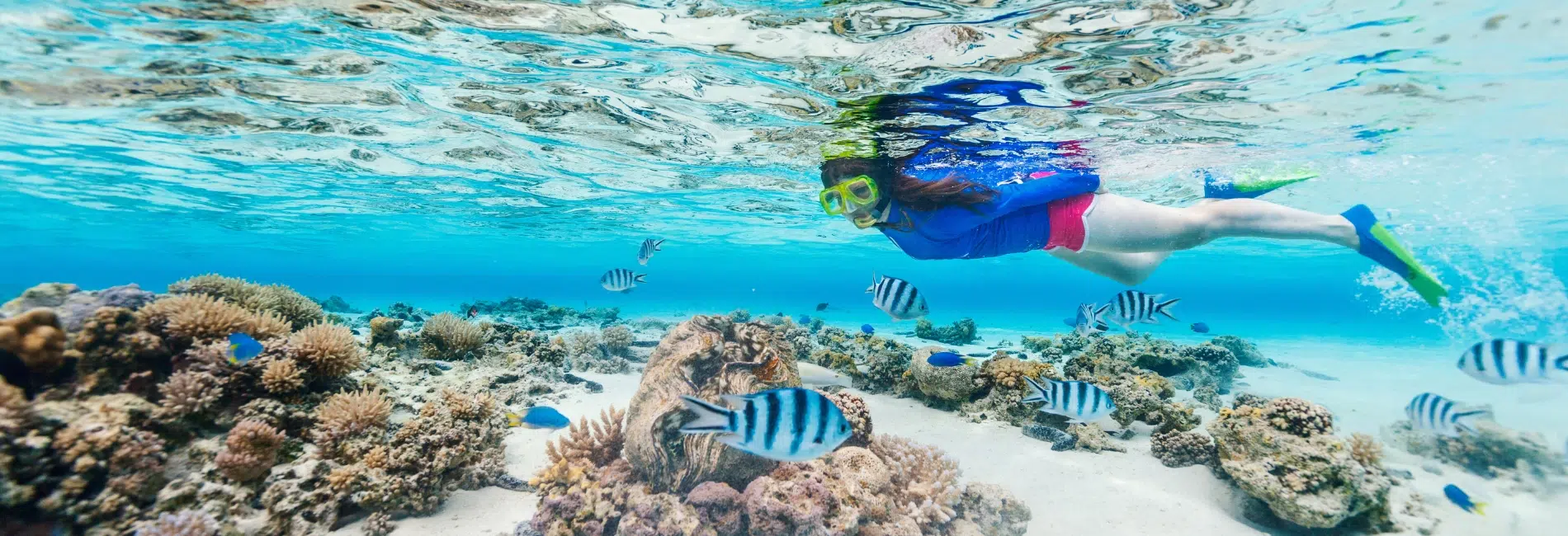 El Meco Reef