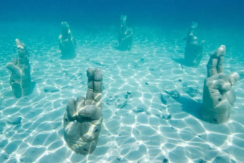 El Meco Reef