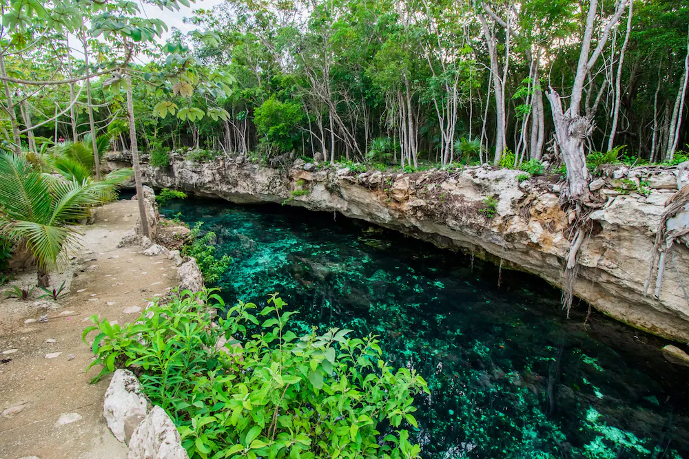 Jungle Trails